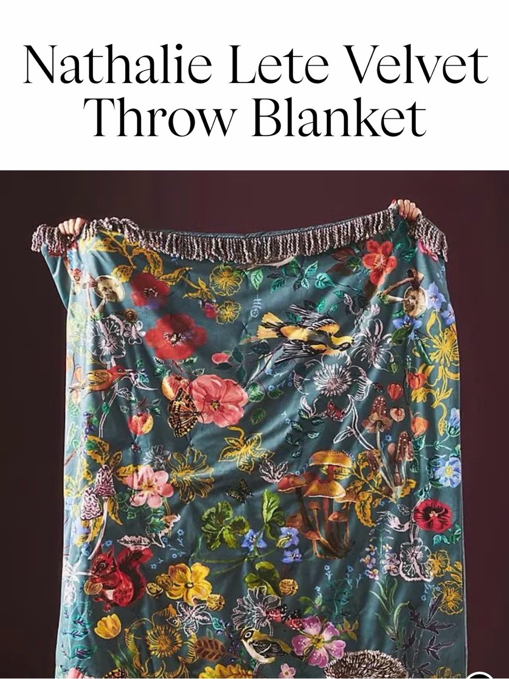 Anthropologie Velvet Floral Throw Blanket - Teal Multi by Natalie Lete